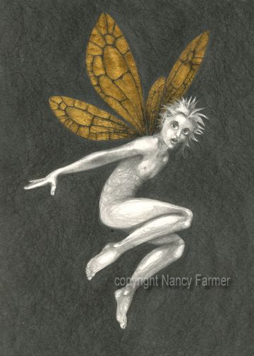 Gold Fairy 8 - drawing by nancy Farmer