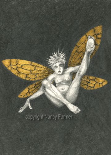 Gold Fairy 11 - drawing by nancy Farmer