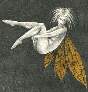 Gold Fairy 12
