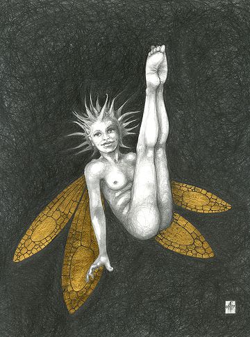 Gold Fairy 37 - drawing by nancy Farmer