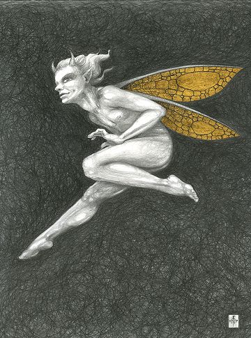 Gold Fairy 38 - drawing by nancy Farmer