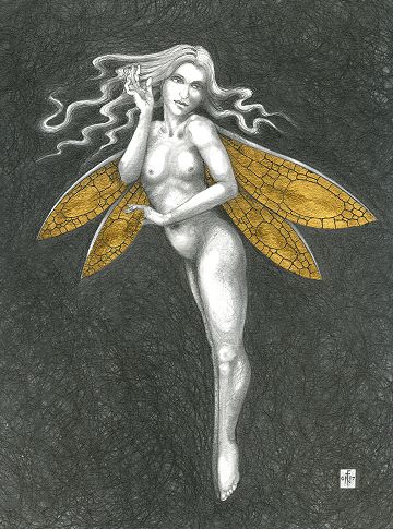 Gold Fairy 39 - drawing by nancy Farmer