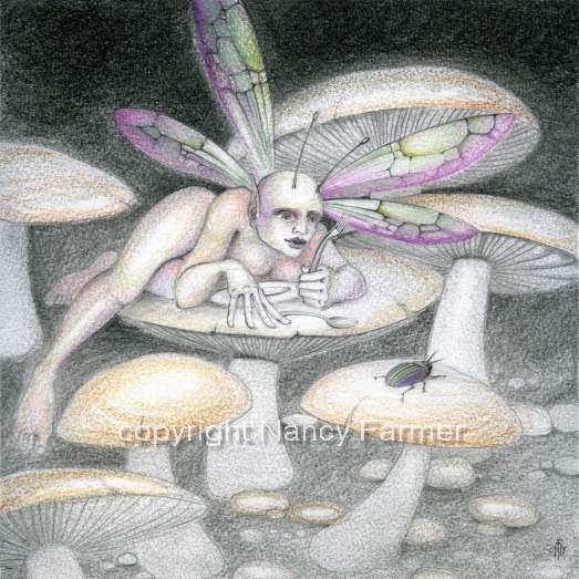 Fairy and Beetle picture by Nancy Farmer