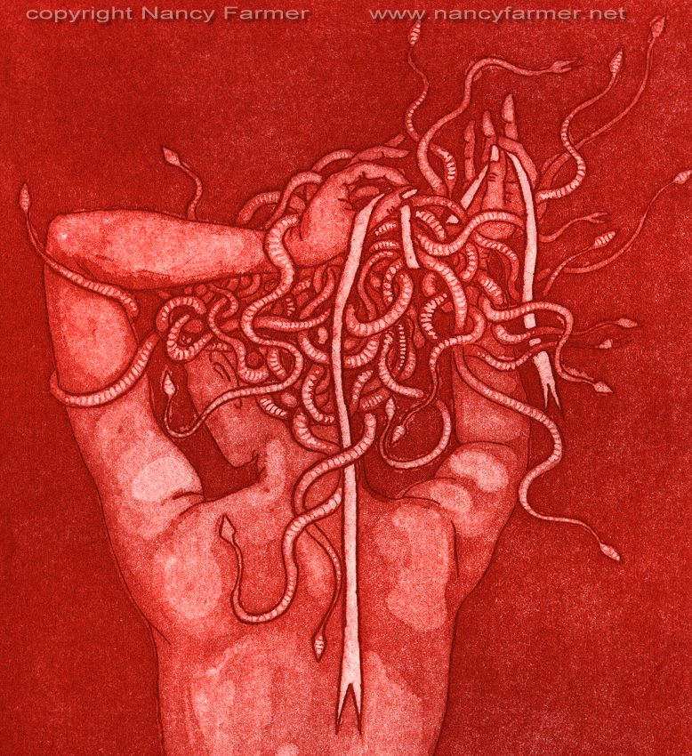 Medusa's Ribbon - etching print