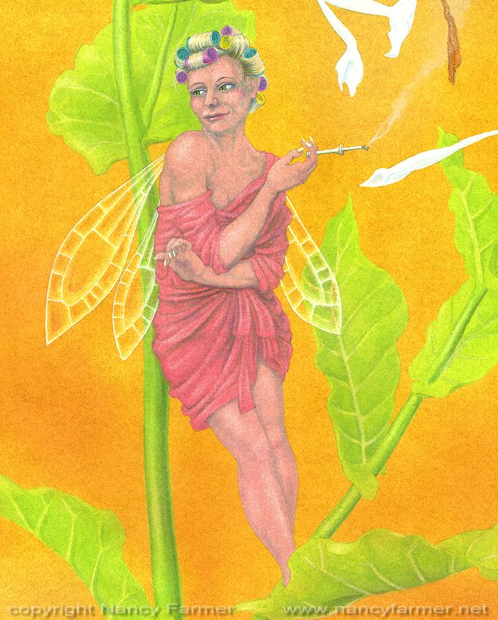 Painting: 'Nicotiana, the Tobacco Plant Fairy'
