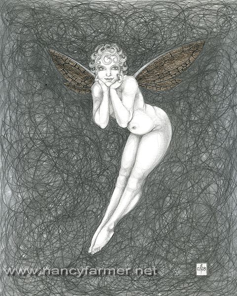 Platinum Fairy 4
 - drawing by nancy Farmer