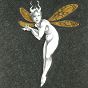 thumbnail of Gold Fairy 16