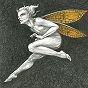thumbnail of Gold Fairy 38
