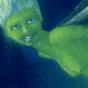 thumbnail of 
	Little Green Fairy